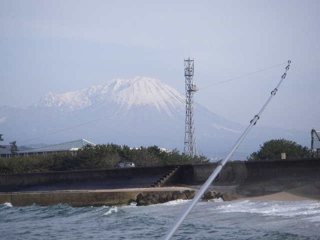 bukkomi