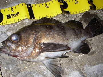20080427