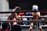 DSC05216