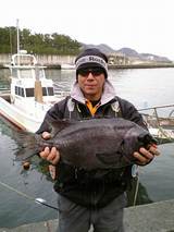 松本さんと石鯛