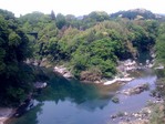 20090503_nagashino