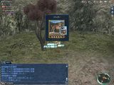 ジャガー.jpg