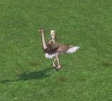 mabinogi_2007_07_29_005