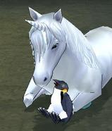 mabinogi_2007_07_14_005