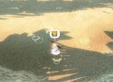 mabinogi_2007_12_25_001