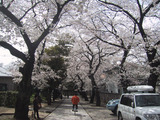 法明寺_4