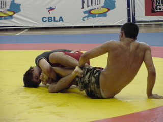 ADCC������з辡