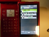 P1010480