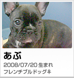 あぶ