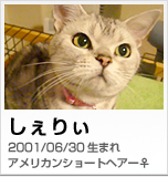 しぇりぃ