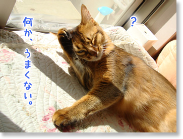 何かうまくいかない。