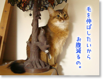 毛を伸ばしたい?