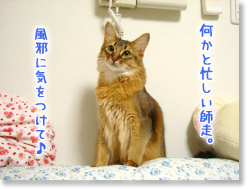 風邪には気をつけてね。