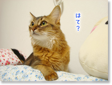 はて?