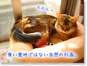 当然の行為。