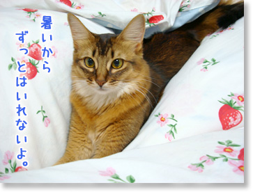 暑いから。
