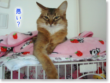 悪い?