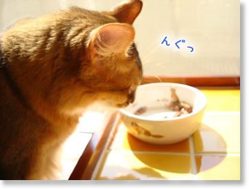 風を感じながら。