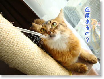 在庫は?