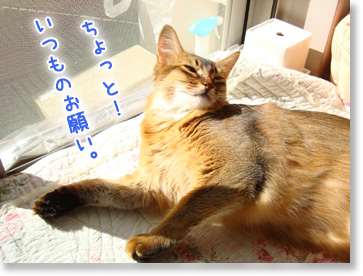 ちょっとお願いね。