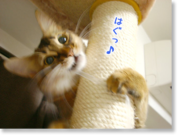 あぐっ