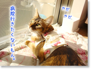 病院はいや。