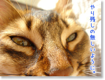 やり残し
