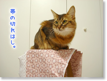 帯の布。