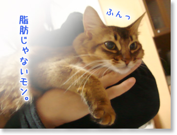 脂肪ではない。
