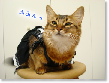 ふふんっ