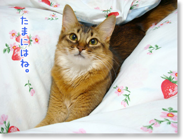 たまにはね。