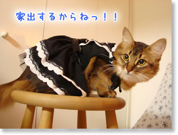 家出するから!