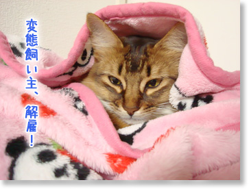 解雇。