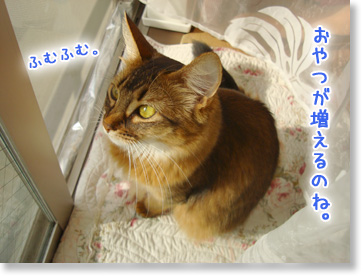 おやつが貰える!