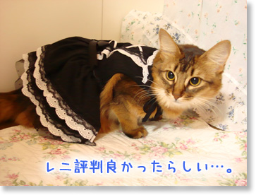 評判気になる?