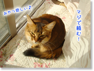 頼むよ。