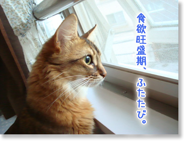 食欲旺盛期。