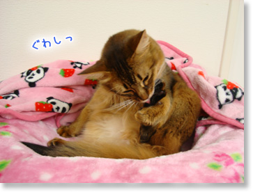 ぐわしっ