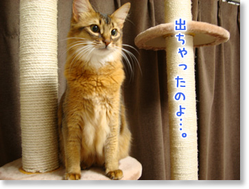 出ちゃったのよ。