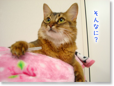 そんなに?