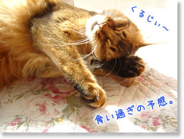 くるじぃ~。