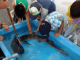 9b9cec60.gif