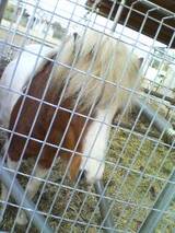 07032301.jpg