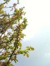 6e432d8e.jpg