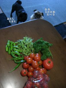 じゃがいも7