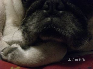 クッション4