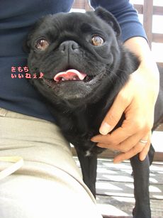 でっきで1