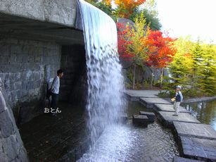 秋8