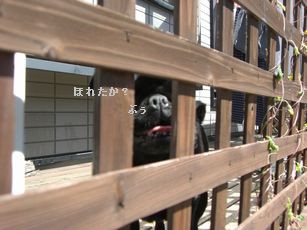 じゃがいも6