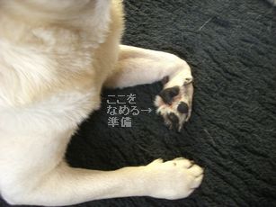 ぽっき3”